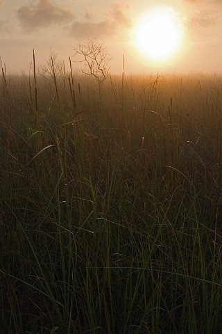 Landschaft